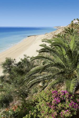 4 Sterne Hotel: Allsun Esquinzo Beach - Playa de Esquinzo, Fuerteventura (Kanaren), Bild 5