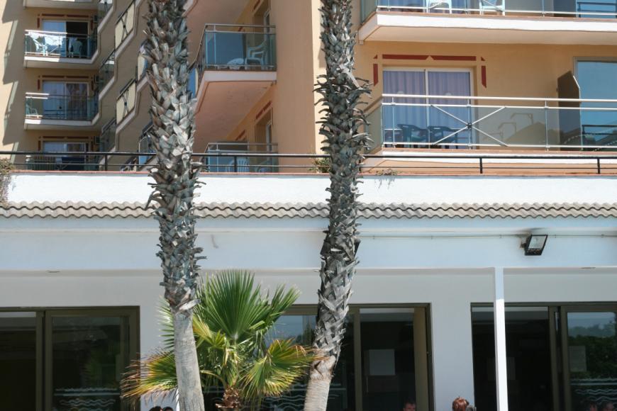 3 Sterne Hotel: Reymar Playa - Malgrat de Mar, Costa del Maresme (Katalonien), Bild 2