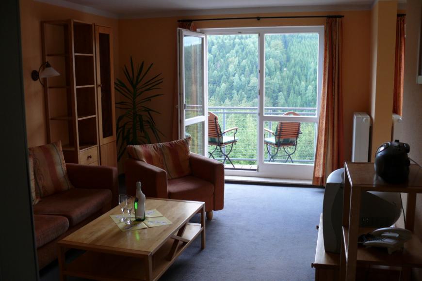 3 Sterne Familienhotel: Ferienpark Brockenblick - Schierke, Sachsen-Anhalt, Bild 7