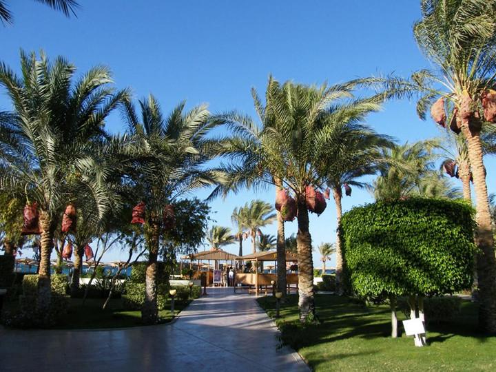 4 Sterne Hotel: Palm Beach Resort - Hurghada, Rotes Meer, Bild 9