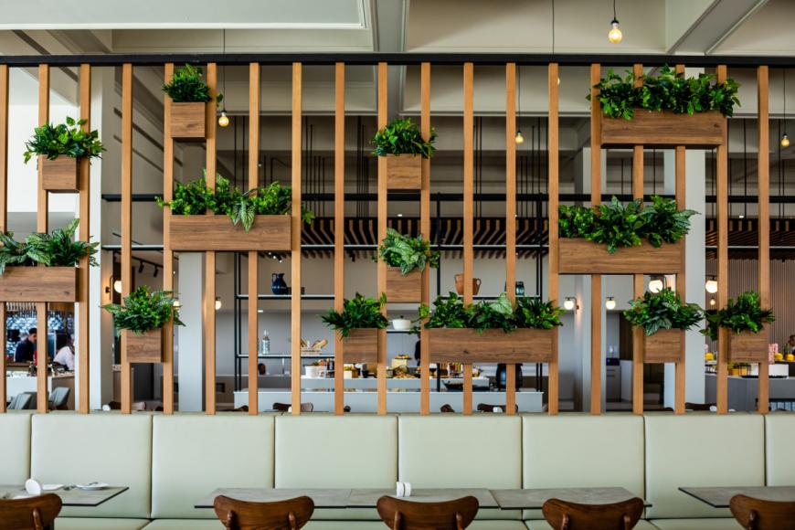 4 Sterne Familienhotel: Louis Phaethon Beach - Paphos, Paphos, Bild 7