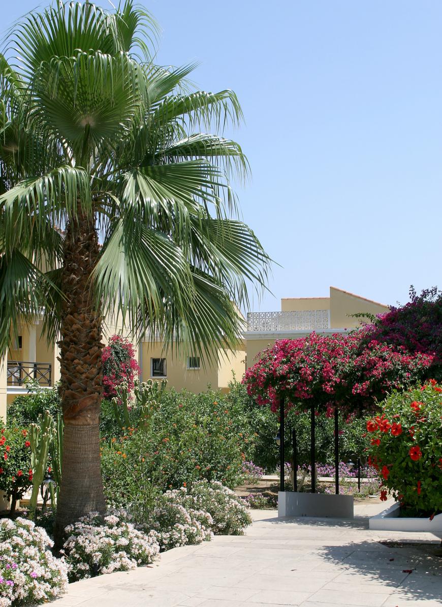 4 Sterne Hotel: Malama Beach Holiday Village - Protaras, Famagusta (Süden)
