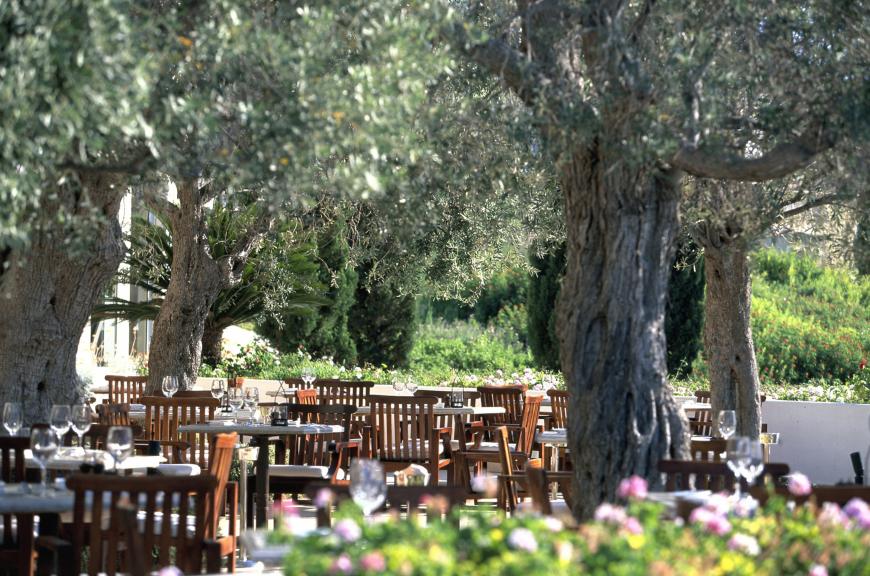 5 Sterne Familienhotel: Anassa - Latchi, Paphos