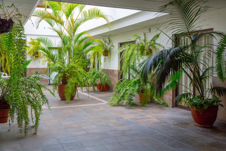 4 Sterne Hotel: Hotel LIVVO Koala Garden - Maspalomas, Gran Canaria (Kanaren), Bild 7