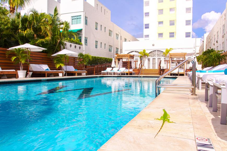 4 Sterne Hotel: Marseilles Beachfront Hotel - Miami Beach, Florida