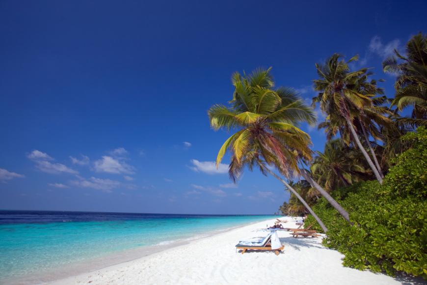4 Sterne Familienhotel: Filitheyo Island Resort - Faafu Atoll, Nilandhe Atoll (Faafu & Dhaalu), Bild 3