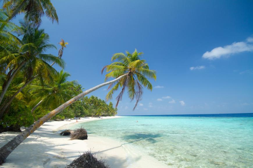 4 Sterne Familienhotel: Filitheyo Island Resort - Faafu Atoll, Nilandhe Atoll (Faafu & Dhaalu), Bild 4