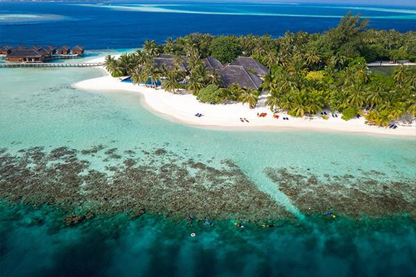 4 Sterne Hotel: Vilamendhoo Resort - Vilamendhoo, Ari Atoll (Nord & Süd), Bild 3