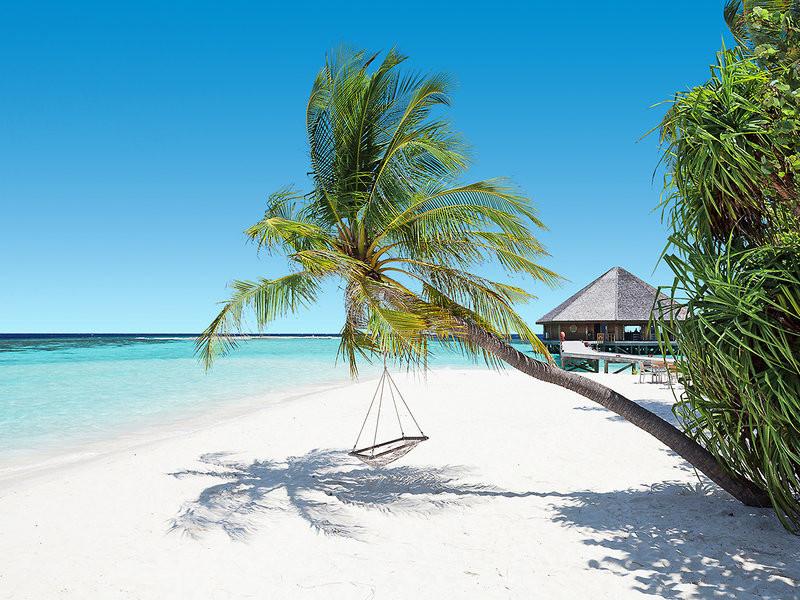 4 Sterne Hotel: Vilamendhoo Resort - Vilamendhoo, Ari Atoll (Nord & Süd), Bild 4