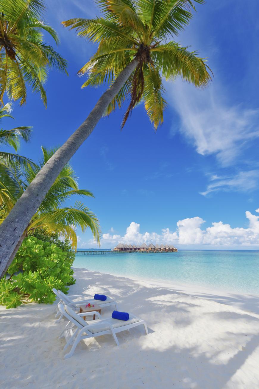 4 Sterne Hotel: Angaga Island Resort & Spa - Angaagaa, Ari Atoll (Nord & Süd)