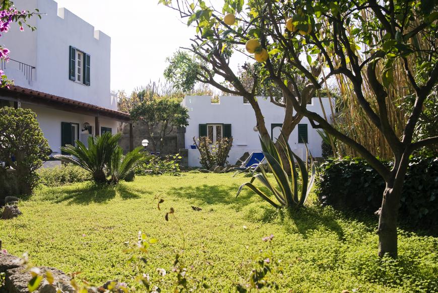 3 Sterne Hotel: Park Hotel Terme Mediterraneo - Forio (Ischia), Ischia