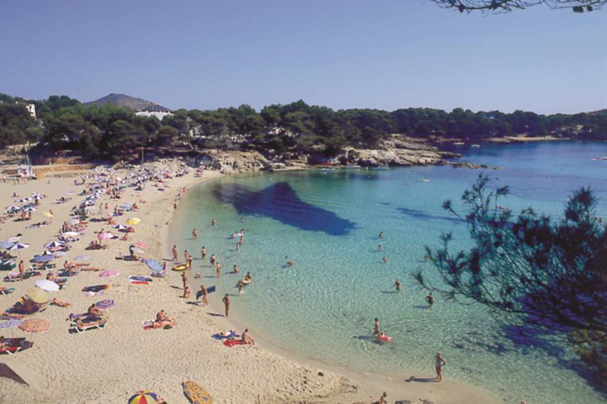 4 Sterne Hotel: Na Taconera Sport & Relax - Font de sa Cala, Mallorca (Balearen), Bild 7