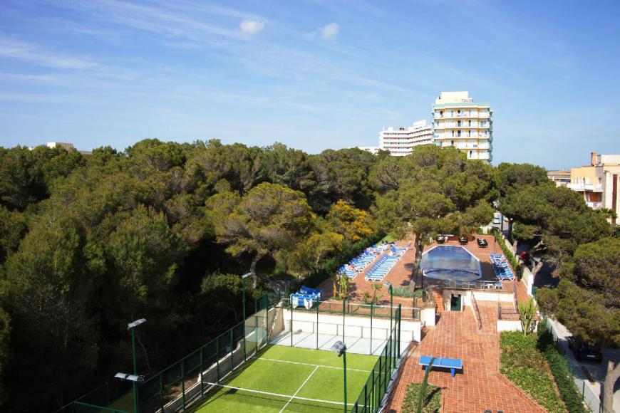 4 Sterne Hotel: Timor - Playa de Palma, Mallorca (Balearen), Bild 10