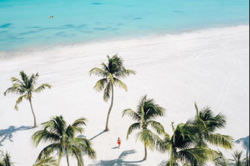 5 Sterne Familienhotel: Hyatt Ziva Cap Cana - Cap Cana, Osten Dom. Rep., Bild 9