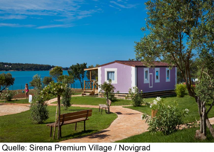 4 Sterne Hotel: Aminess Sirena Campsite - Novigrad, Istrien