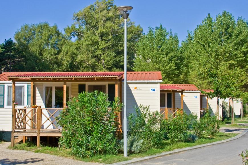 4 Sterne Hotel: San Marino Camping Resort by Valamar - Lopar (Insel Rab), Insel Rab, Bild 2