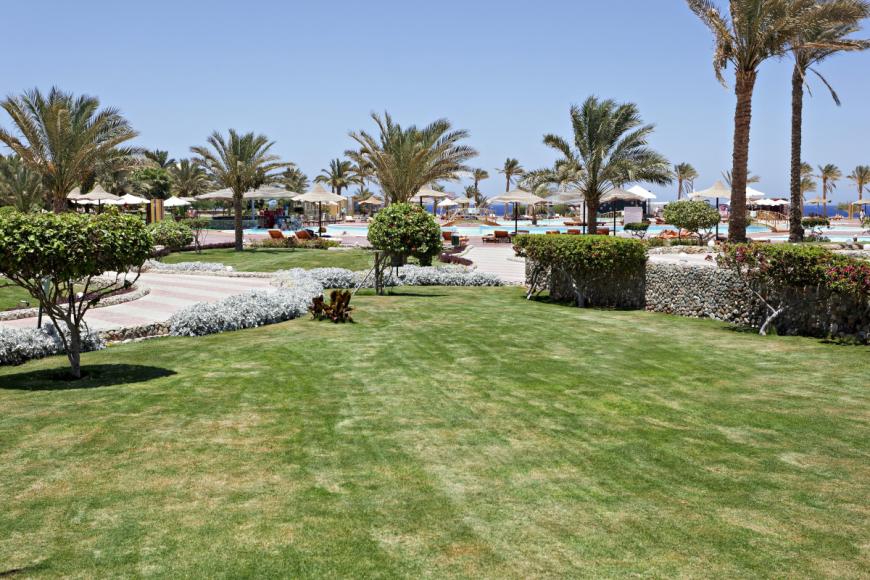 4 Sterne Hotel: Three Corners Sea Beach Resort - Marsa Alam, Rotes Meer, Bild 4