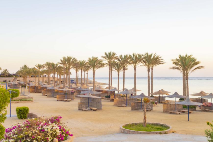 4 Sterne Hotel: Blend Elphistone Resort - Marsa Alam, Rotes Meer