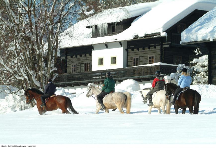 4 Sterne Familienhotel: Naturel Hoteldorf Schönleitn - Oberaichwald, Kärnten