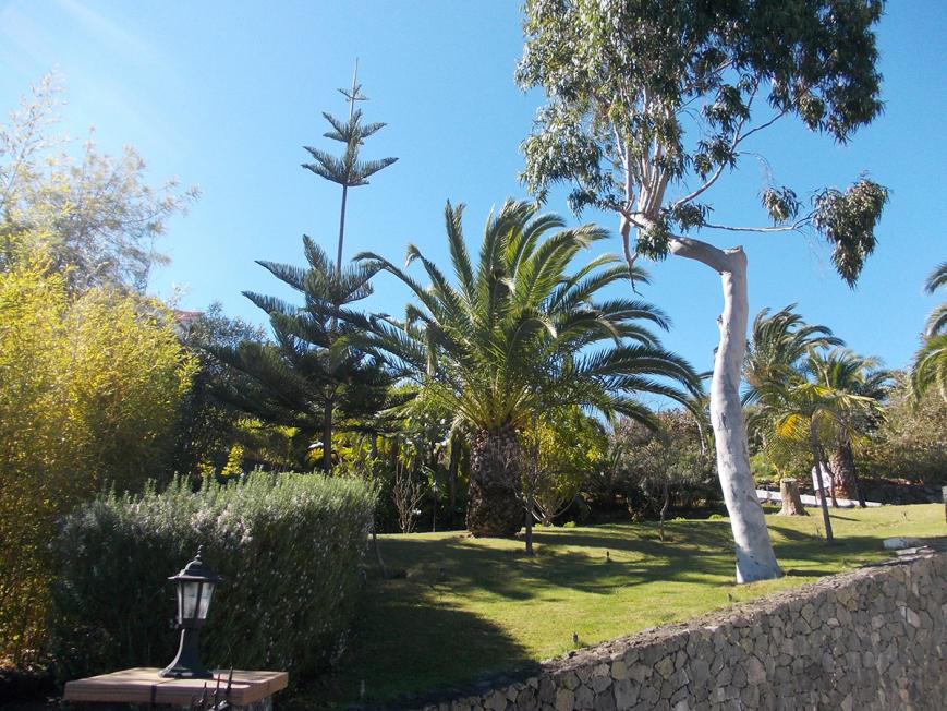 3 Sterne Hotel: La Palma Romantica - Barlo Vento, La Palma (Kanaren), Bild 3