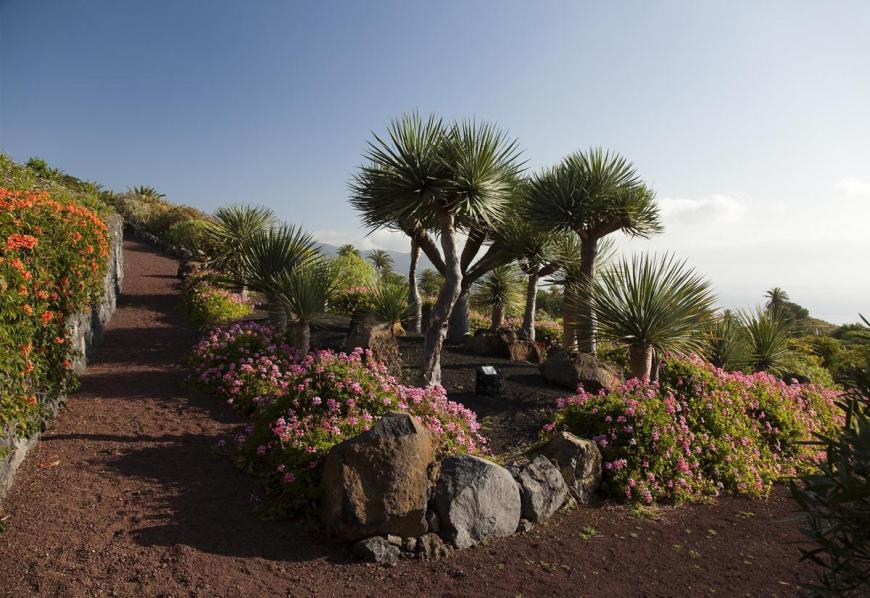 4 Sterne Hotel: Parador de La Palma - Brena Baja, La Palma (Kanaren), Bild 9