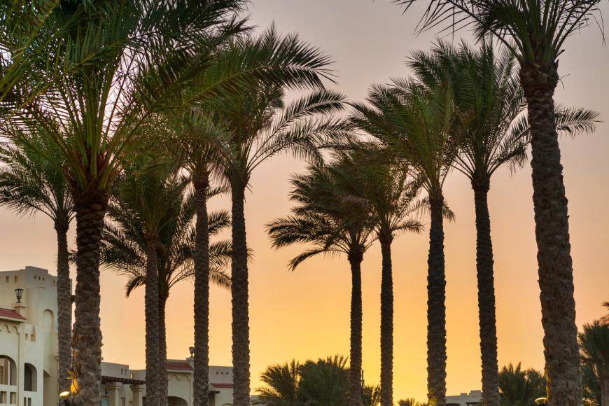 5 Sterne Hotel: Rixos Sharm El Sheikh - Adults Only - Sharm el Sheikh, Sinai, Bild 7