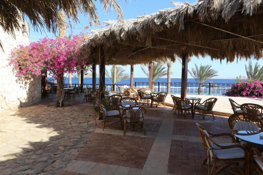 4 Sterne Familienhotel: Tamra Beach Resort - Sharm el Sheikh, Sinai, Bild 2