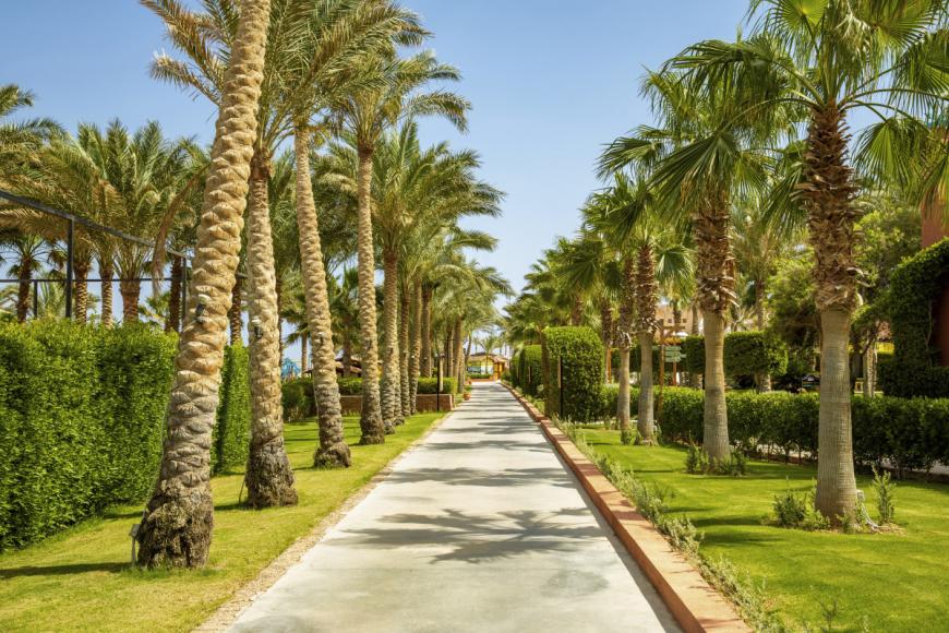 5 Sterne Hotel: Iberotel Redsina - Sharm el Sheikh, Sinai, Bild 6