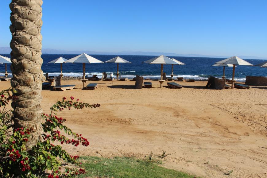 4 Sterne Hotel: Tropitel Dahab Oasis - Dahab, Sinai, Bild 2