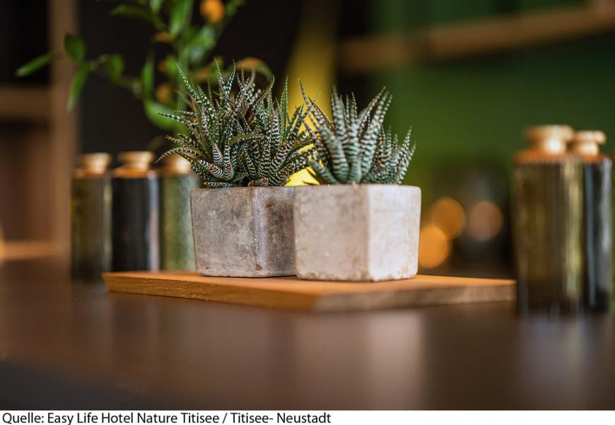 0 Sterne Hotel: Nature Titisee - Easy Life Hotel - Titisee, Schwarzwald, Bild 2
