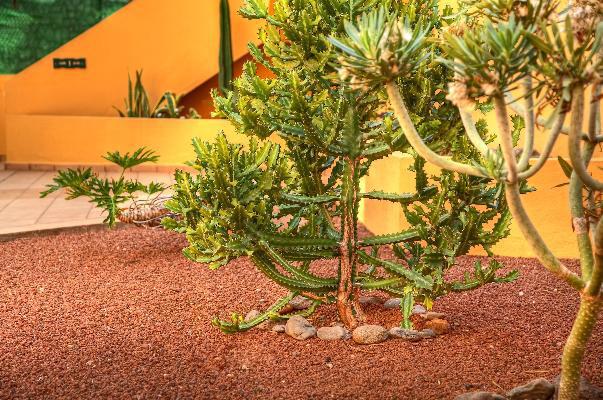 3 Sterne Hotel: Tres Palmeras - Gomera - Valle Gran Rey, La Gomera (Kanaren), Bild 5