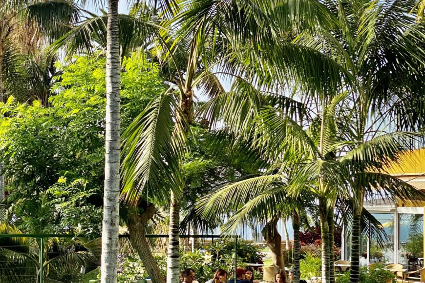 4 Sterne Hotel: Tigaiga - Puerto de la Cruz, Teneriffa (Kanaren), Bild 10