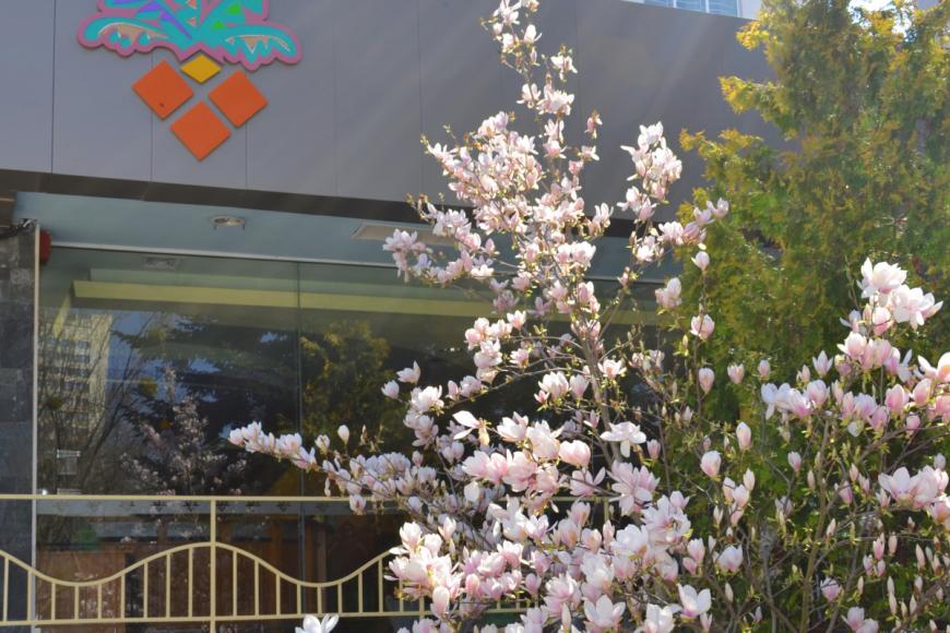 4 Sterne Hotel: Malibu - Albena, Dobritsch (Schwarzmeerküste), Bild 4