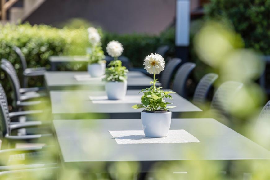 3 Sterne Hotel: Elefant - Auer bei Bozen, Südtirol, Bild 3