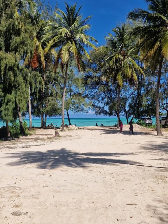 4 Sterne Hotel: Dhown Inn Boutique Hotel - Paje, Sansibar, Bild 10