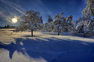 Hotel  buchen: Alpin & Wellness Resort Hotel Ludwig Royal