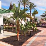 Cay Beach Sun, Bild 2 ansehen Cay Beach Sun, Bild 2