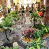 Holiday World Polynesia, Bild 1