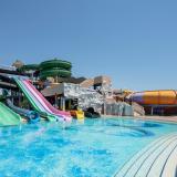 Papillon Belvil, Bild 6