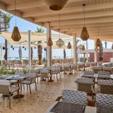 Paloma Grida, Bild 3 ansehen Paloma Grida, Bild 3