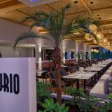 Paloma Grida, Bild 6