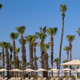 Paloma Grida, Bild 9