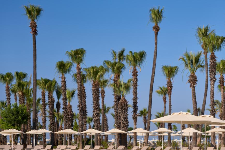 5 Sterne Familienhotel: Paloma Grida - Belek, Türkische Riviera, Bild 9