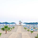 Paloma Oceana, Bild 3 ansehen Paloma Oceana, Bild 3