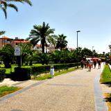 Nerton - Adults Only, Bild 4 ansehen Nerton - Adults Only, Bild 4