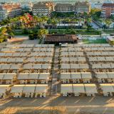 Royal Dragon, Bild 2 ansehen Royal Dragon, Bild 2