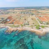 Torre Guaceto Oasis, Bild 10