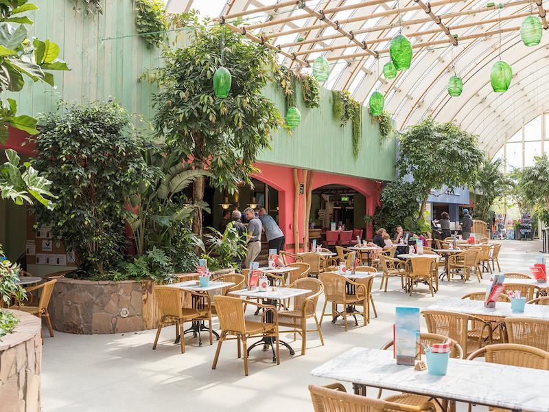 3 Sterne Hotel: Center Parcs Park Nordseeküste - Tossens, Niedersachsen, Bild 9