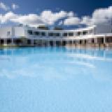 Flamingo, Bild 2 ansehen Flamingo, Bild 2