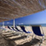 Flamingo, Bild 5 ansehen Flamingo, Bild 5